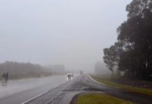 Kenya Met Warns Of Strong El Niño As Heavy Rains Expected From October 2026