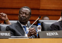 Mudavadi Calls for Stronger African Representation in Global Institutions