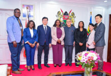 Kenya, Japan Review Progress of Innovative Malaria and Anaemia Diagnostic Pilot