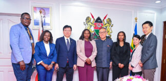Kenya, Japan Review Progress of Innovative Malaria and Anaemia Diagnostic Pilot
