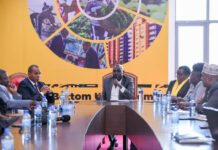 UDA sets fresh grassroots elections in Tana River for August 15