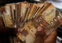 Kenya Shilling Holds Steady as Forex Reserves Hit $14.9 Billion