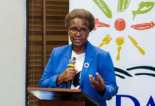 AGOA Extension To 2028 Gives Kenya Exporters Long-Term US Market Access