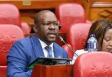Vocal MP Breaks Silence on Sifuna, Orengo Leadership Row
