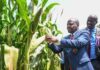 Farmers Get Major Relief as Government Cuts Fertiliser, Seed Prices