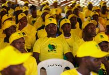 UDA Youth Network Launches Grassroots Mobilisation Drive in Trans-Nzoia