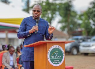 Government Plans to Cushion Farmers Against Drought, Kagwe Assures Kenyans of Food Security