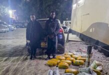Police Seize Cannabis Worth KSh420,000 in Nairobi