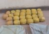 Police Seize Cannabis Worth Sh1.19 Million in Meru and Kilifi