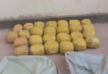 Police Seize Cannabis Worth Sh1.19 Million in Meru and Kilifi