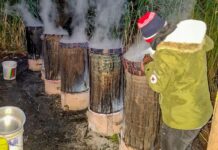 Police Raid Illicit Chang’aa Den, Seize 2, 620 Litres of Brew in Laikipia