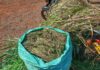 Police Intercept Cannabis Concealed in Napier Grass in Bungoma