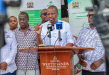 Kenya to Import 25 Million Bags of Maize