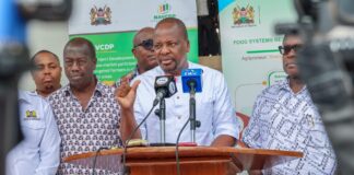 Kenya to Import 25 Million Bags of Maize