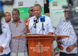 Kenya to Import 25 Million Bags of Maize