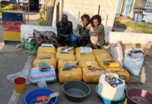 Three Arrested as NANIB Detectives Seize Sh3.3 Million Cannabis in Narok