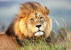 Kenya Accelerates Electric Mobility Shift in Tourism Sector