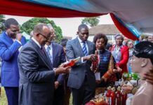 Kenya to Merge Traditional Medicine with Health System by 2028