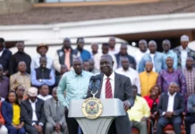 Oburu Oginga Steps Down as Senate Energy Committee Chair