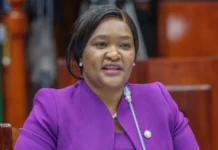 ‘Fake News’: Rebecca Miano Breaks Silence on Viral Goons Attack Claims