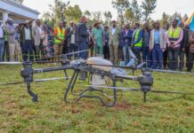 AI, Innovation and Smart Farming Point to New Future for Kenya’s Agriculture