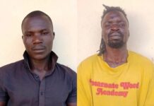 Detectives Recover 180 National Identification Cards as Two Suspected Gang Members Arrested in Busia Detectives Recover 180 National Identification Cards as Two Suspected Gang Members Arrested in Busia