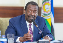 Kenya-Türkiye: Mudavadi Pushes Trade, Tourism and Investment Partnerships