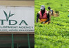 Ruto Orders KTDA to Roll Out Digital Tea Payment System by November Ruto Orders KTDA to Roll Out Digital Tea Payment System by November
