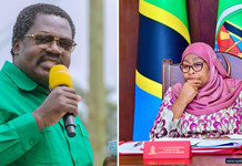 Tanzania Vice President Nchimbi Resigns, Retires From Public Service