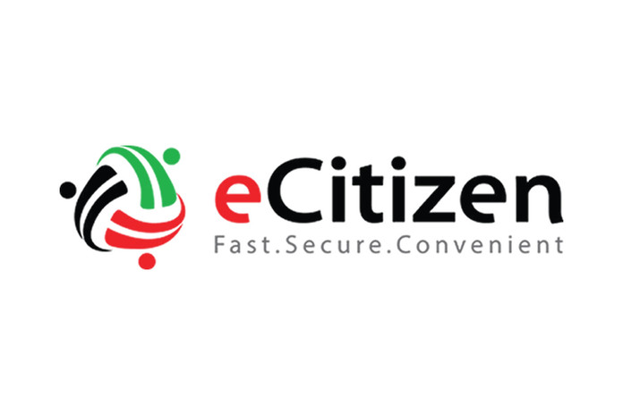 Treasury Seeks Legal Backing for New eCitizen Access Fees