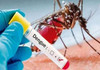 Ministry Raises Alert Over Dengue Cases in Garissa and Wajir Ministry Raises Alert Over Dengue Cases in Garissa and Wajir
