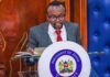 Kalonzo Taps Ndegwa Njiru for Key Wiper Position