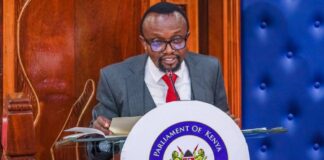 Kalonzo Taps Ndegwa Njiru for Key Wiper Position