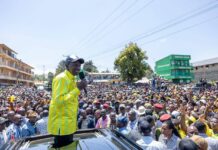 Ruto Unveils Plan to Transform Kericho Town into a City with Billions in Investments
