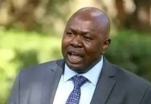 Government Issues Fresh Directive on Foreign Traders, Warns Against Xenophobia