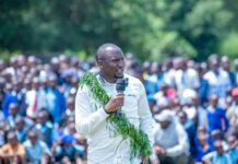 Cheruiyot, Nyoro Clash Over Health Fund and Road Levy in War of Words