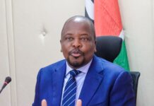 CS Kagwe Weighs 3 Million MT Duty-Free Maize Imports
