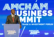 Ruto: Kenya Ready to Become Leading Gateway for Global Business