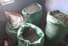 Three Suspects Arrested as 187kg of Bhang Seized in Ruai