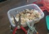 Suspect Arrested After Jailbreak Tools Found in Plate of Rice