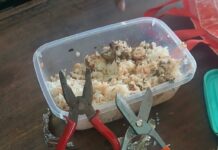 Suspect Arrested After Jailbreak Tools Found in Plate of Rice