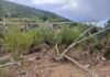 Kenya Power Condemns Vandalism After Transmission Tower Collapse