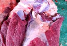 Kagwe Warns Cattle Rustlers as Kenya Rolls Out ANITRAC in Isiolo