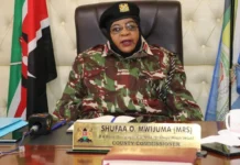 Kirinyaga Orders Closure of Two Clubs Over Alleged Nude Dancing