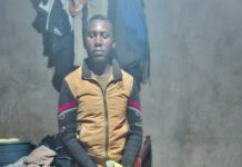 Suspects Arrested Over Naivasha-Juja Power Tower Vandalism