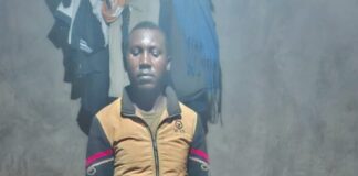 Suspects Arrested Over Naivasha-Juja Power Tower Vandalism