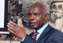 Kibwana Warns Sifuna, Babu as Fresh Rift Threatens Linda Mwananchi Unity