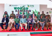 Kenya Targets 150,000 More Hectares of Bamboo in New Development Plan Kenya Targets 150,000 More Hectares of Bamboo in New Development Plan