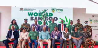 Kenya Targets 150,000 More Hectares of Bamboo in New Development Plan Kenya Targets 150,000 More Hectares of Bamboo in New Development Plan