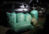 SUV Crash Leads Police to Sh7.2 Million Bhang Consignment in Nakuru